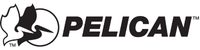 pelican